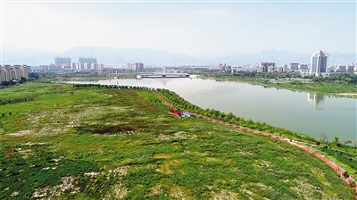 <p>　　如今，在石嘴山市的山边、河边、田边、路边，盎然的“绿色绸带”尽情“舞”动。</p>