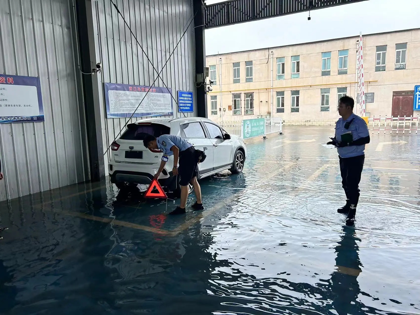 mmexport1723121027769.jpg