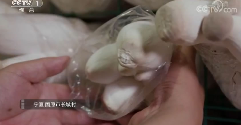 未命名-132.jpg