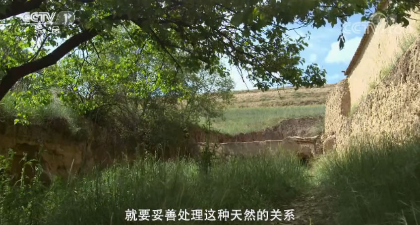 未命名-142.jpg