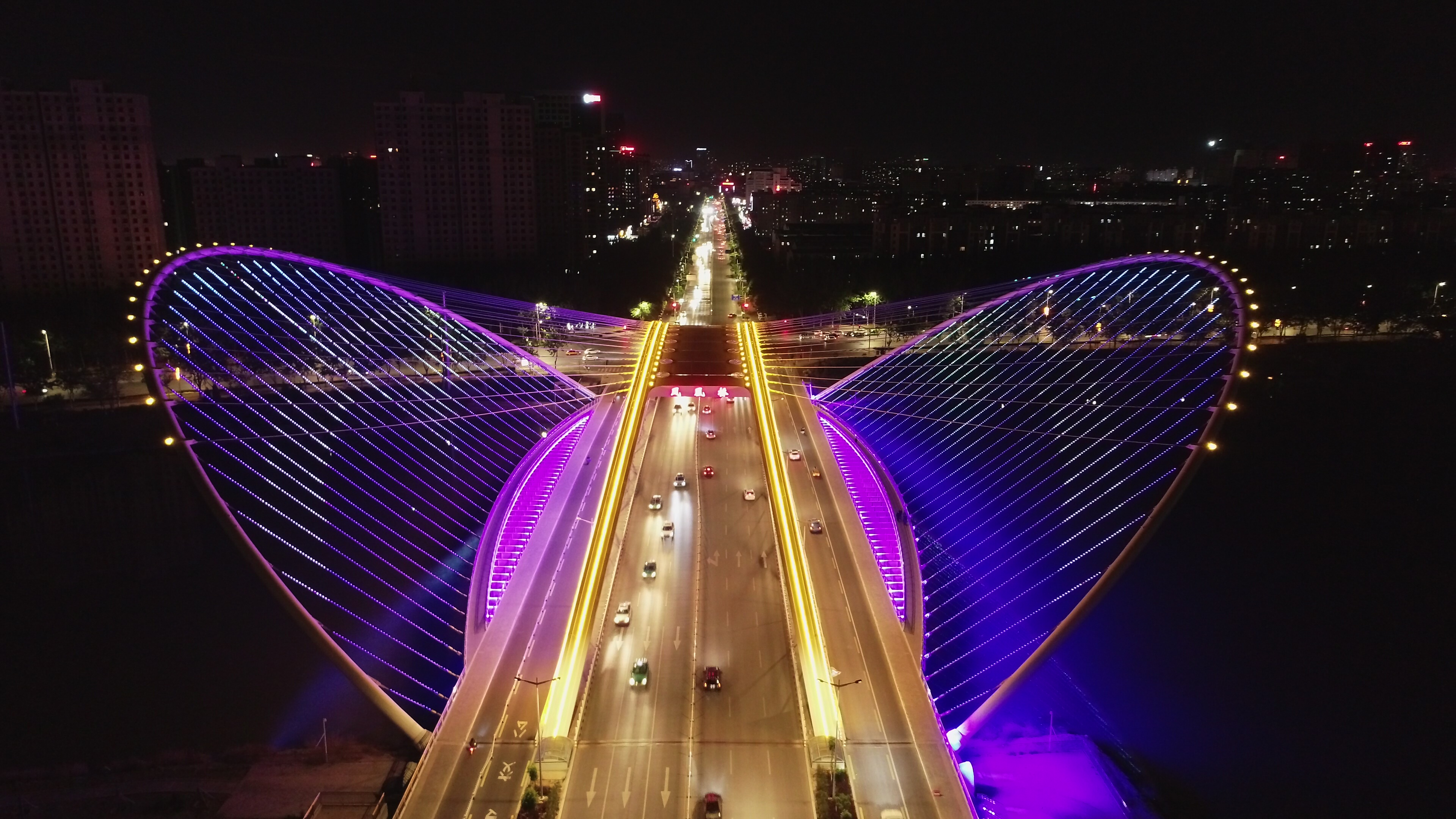 美丽夜景凤凰桥DJI_0077.JPG