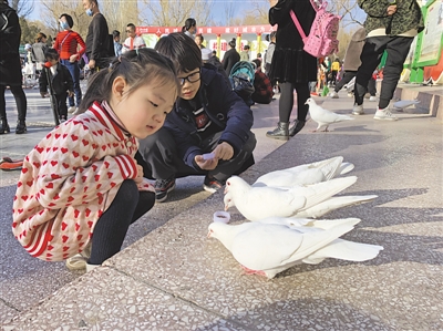 <p>　　　　→2月21日，小朋友们在银川中山公园喂鸽子。近日，春意渐浓，市民纷纷走出家门，亲近自然，感受初春的美好时光。</p><p>　　　　本报记者　左鸣远　摄</p>