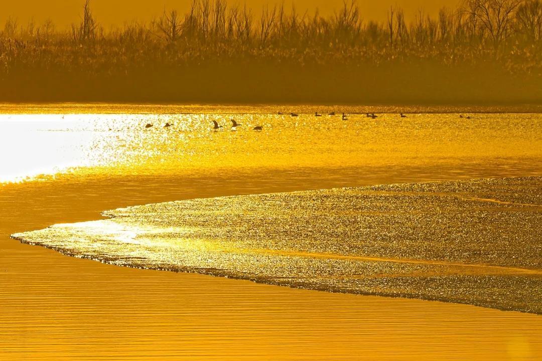 微信图片_20210224170023 8.jpg?x-oss-process=style/w10