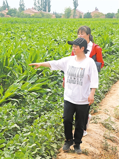 <p>　　中宁县大战场镇东盛村，得知村民种植的玉米因大雨出现倒伏情况，村妇联主席姬秀花（前）立即和同事前往地里查看灾情。姬秀花对村里每家每户的情况都烂熟于心，在她的带动下，村里30多户农村妇女脱贫致富。</p>