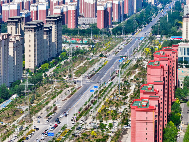 W020250527433227330459_副本.jpg