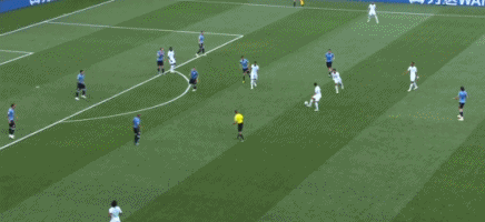 19.gif