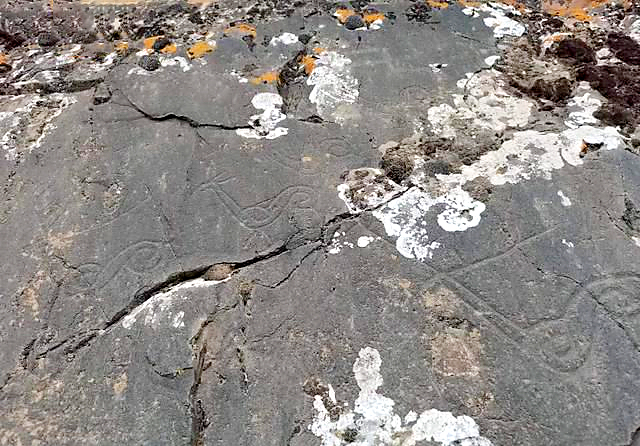 距今3000多年！青海发现一处罕见岩画群