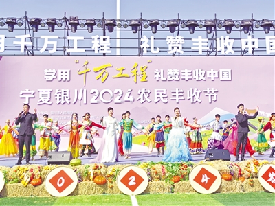     银川市西夏区“村晚”节目现场。