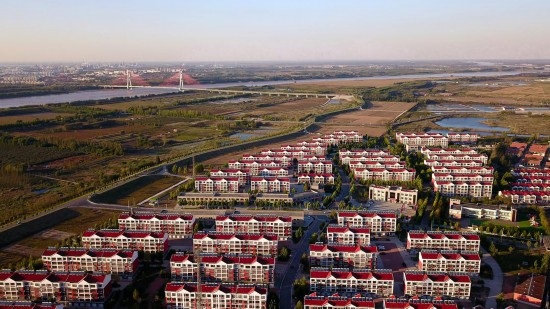 山东东营市垦利区董集镇杨庙社区。