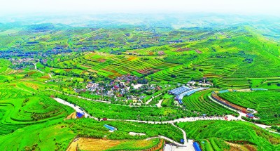 西海固：蓄足动能再出发——来自宁夏脱贫乡村的调研