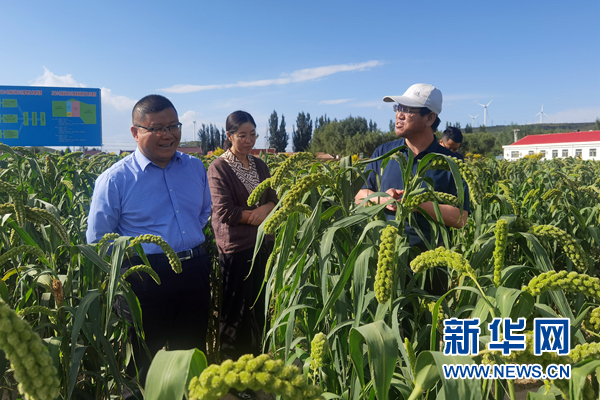 中卫经济总量_中卫66号公路图片