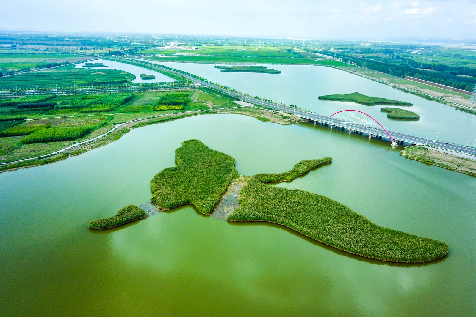 大自然的神奇银川鹤泉湖这两处湿地造型状若飞鸟