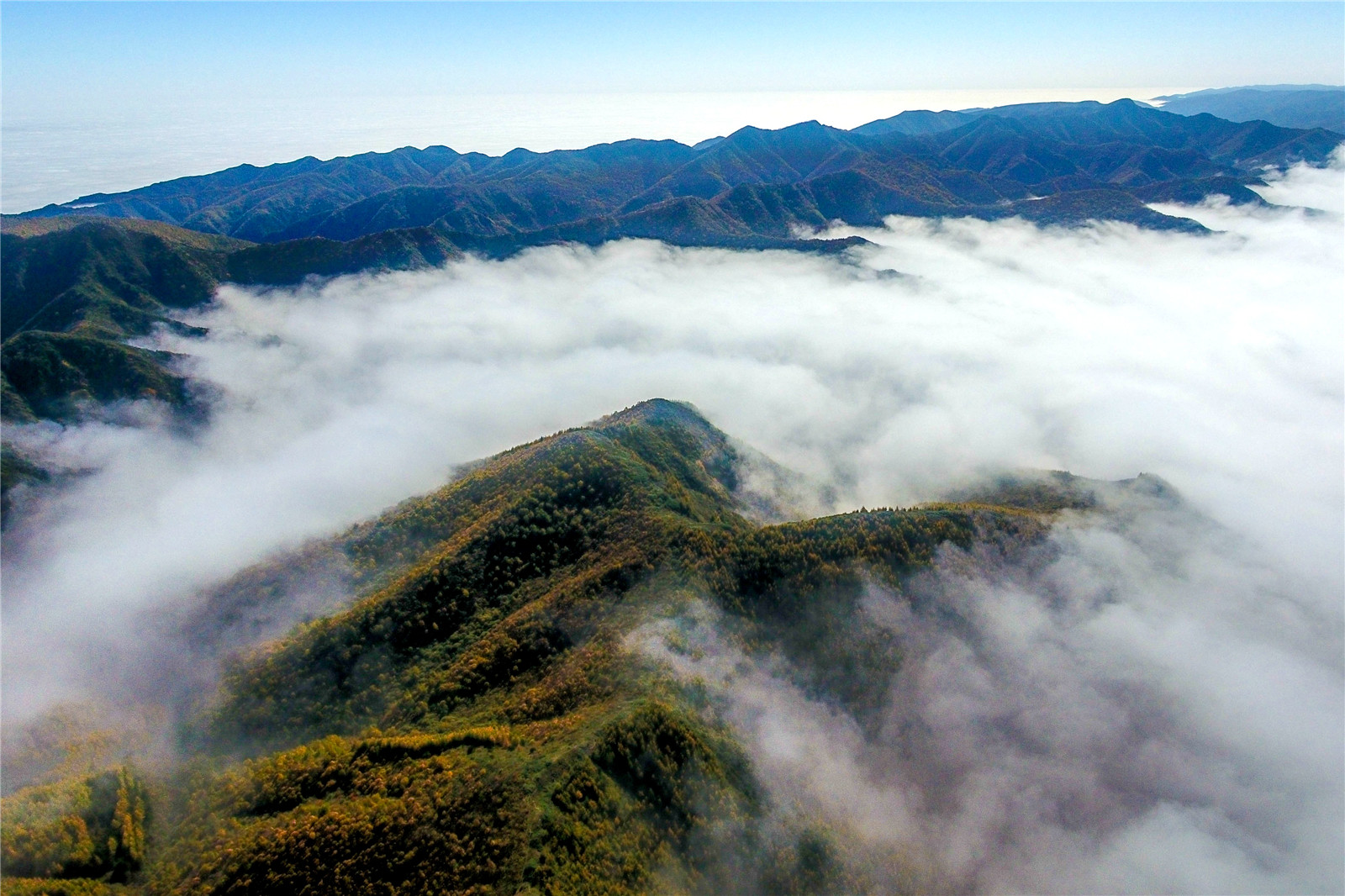 DJI_0122.jpg