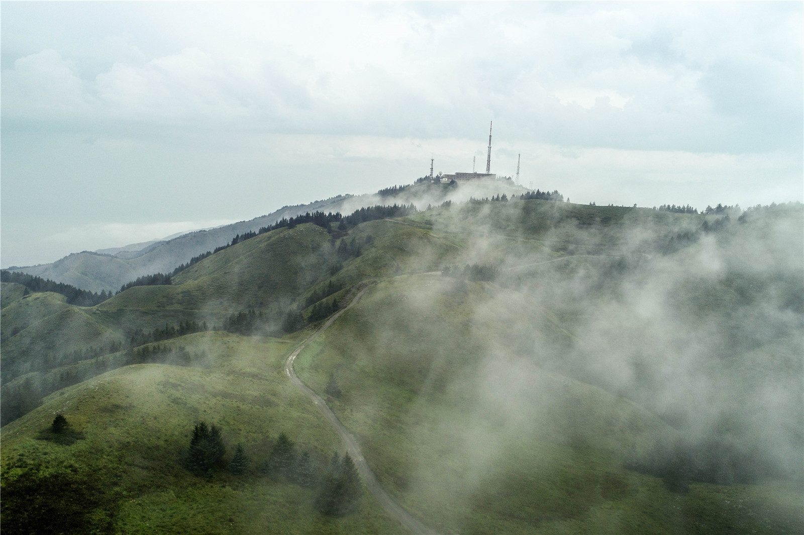 DJI_0100.jpg