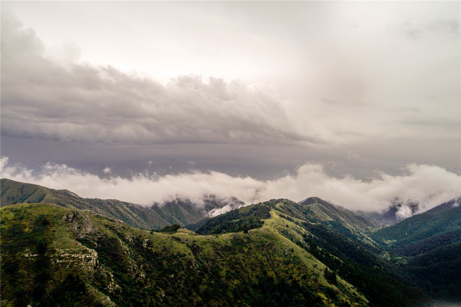 DJI_0177.jpg