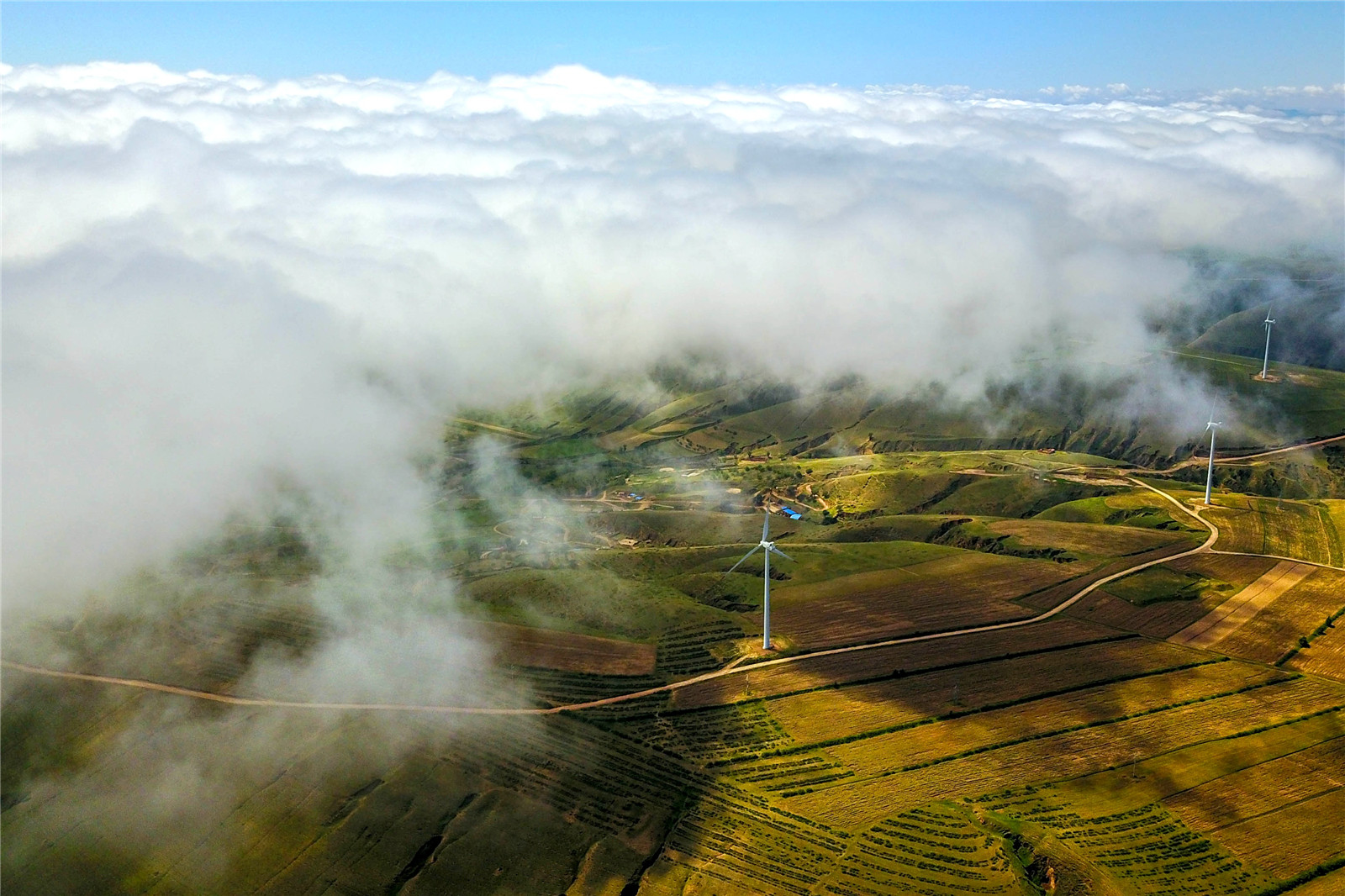 DJI_0238.jpg