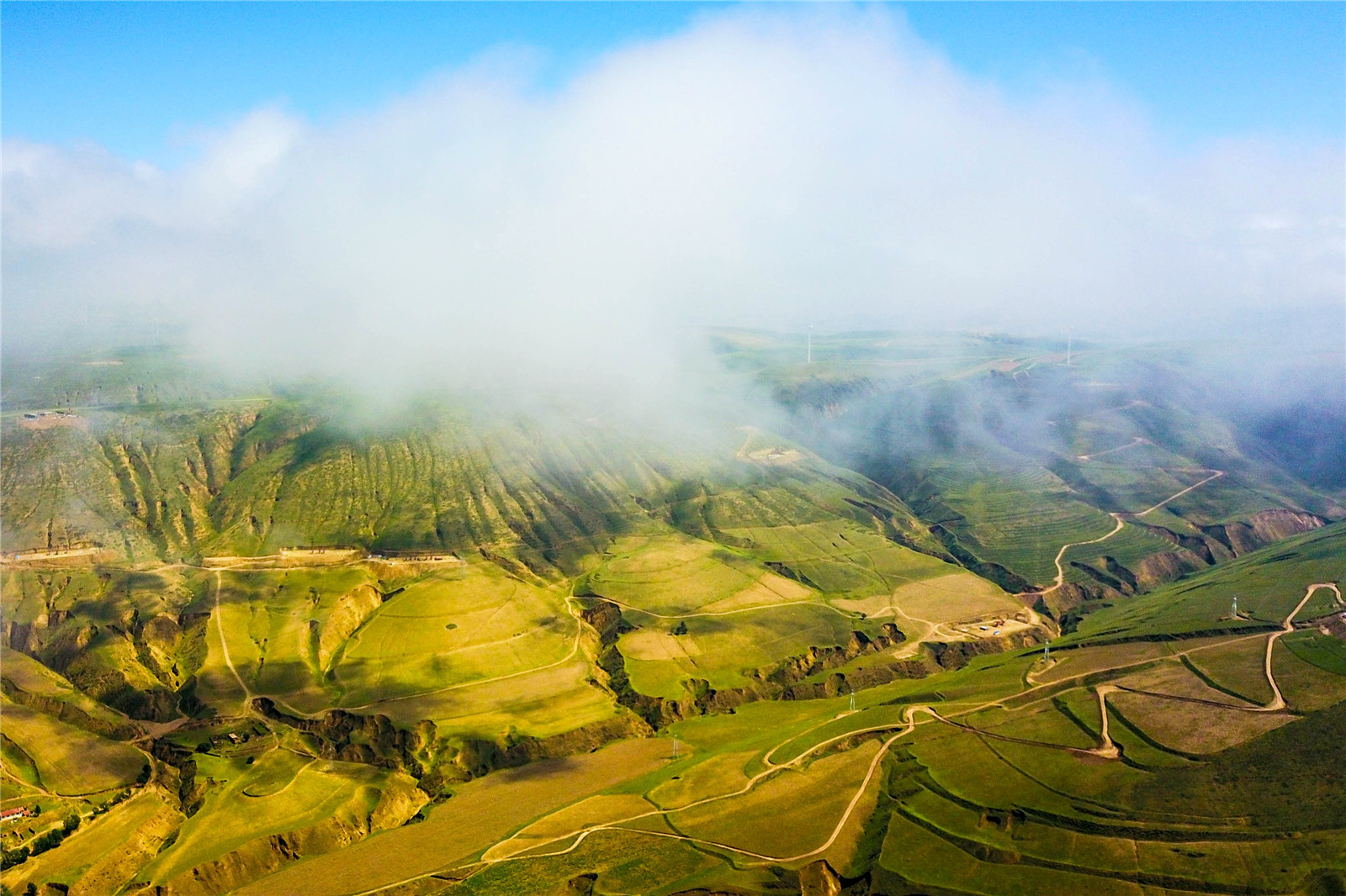 DJI_0336.jpg