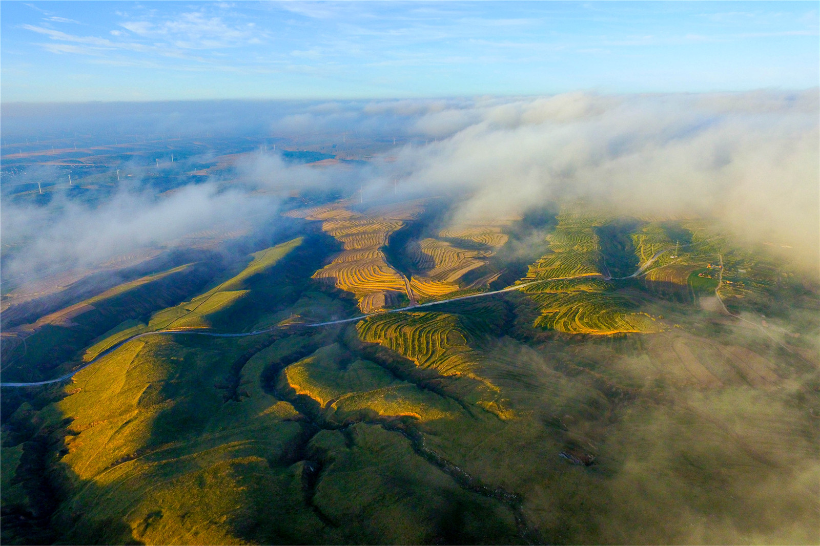 DJI_0659.jpg