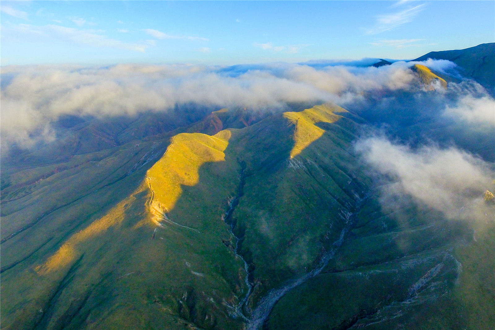 DJI_0753.jpg