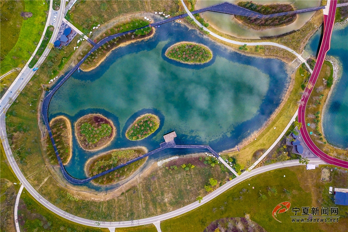 nEO_IMG_DJI_0102.jpg