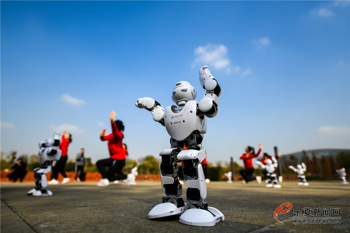nEO_IMG_DSC_4297.jpg