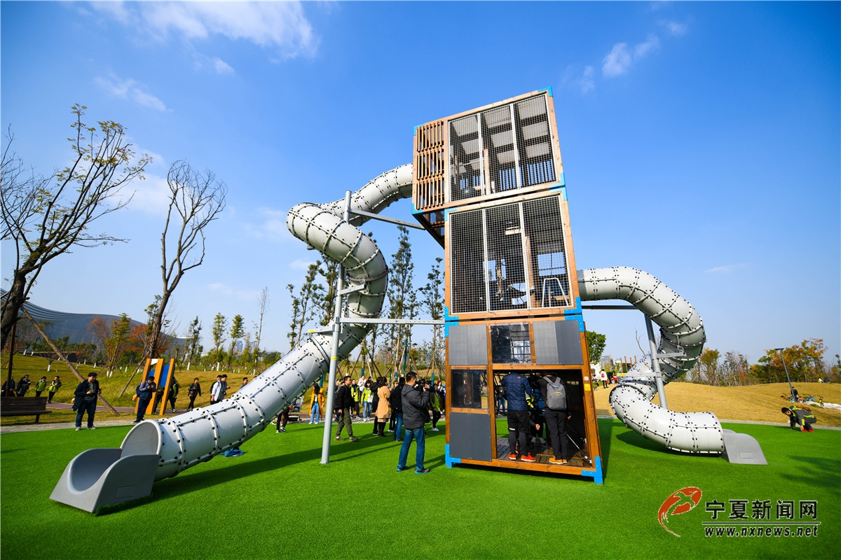 nEO_IMG_DSC_4374.jpg