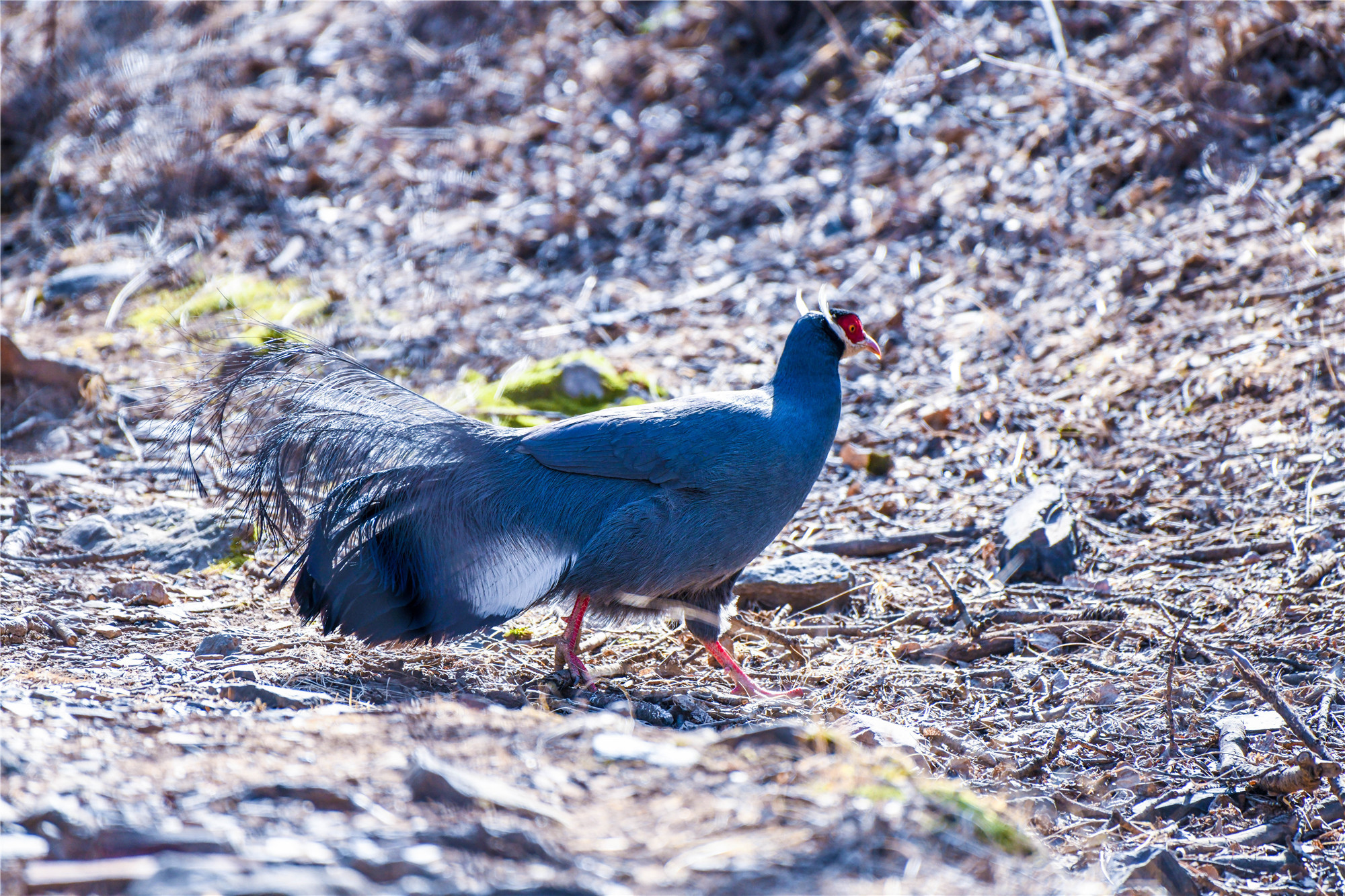 DSC_0775_副本.jpg