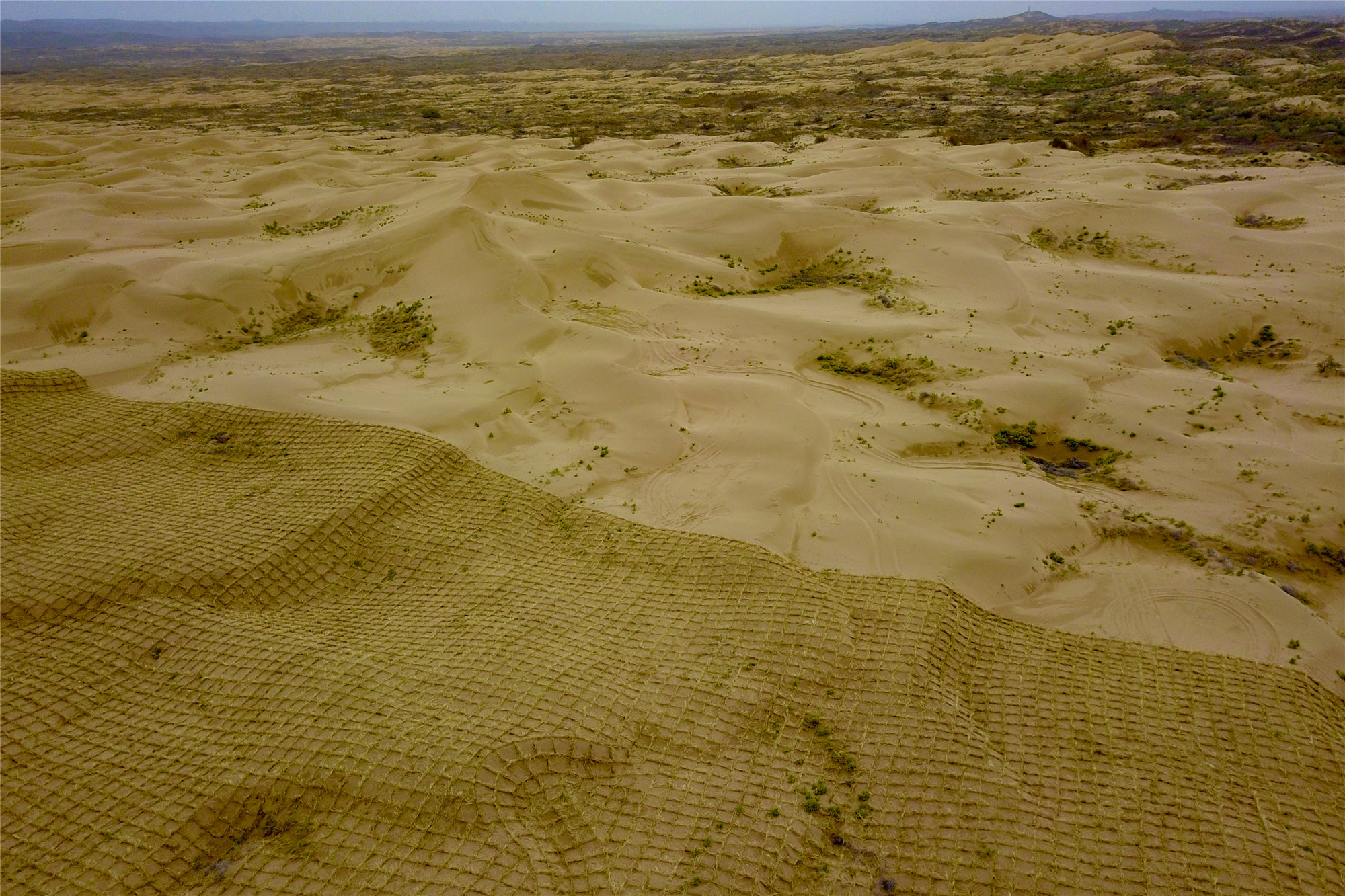 深秋白芨滩治沙忙-宁夏新闻网