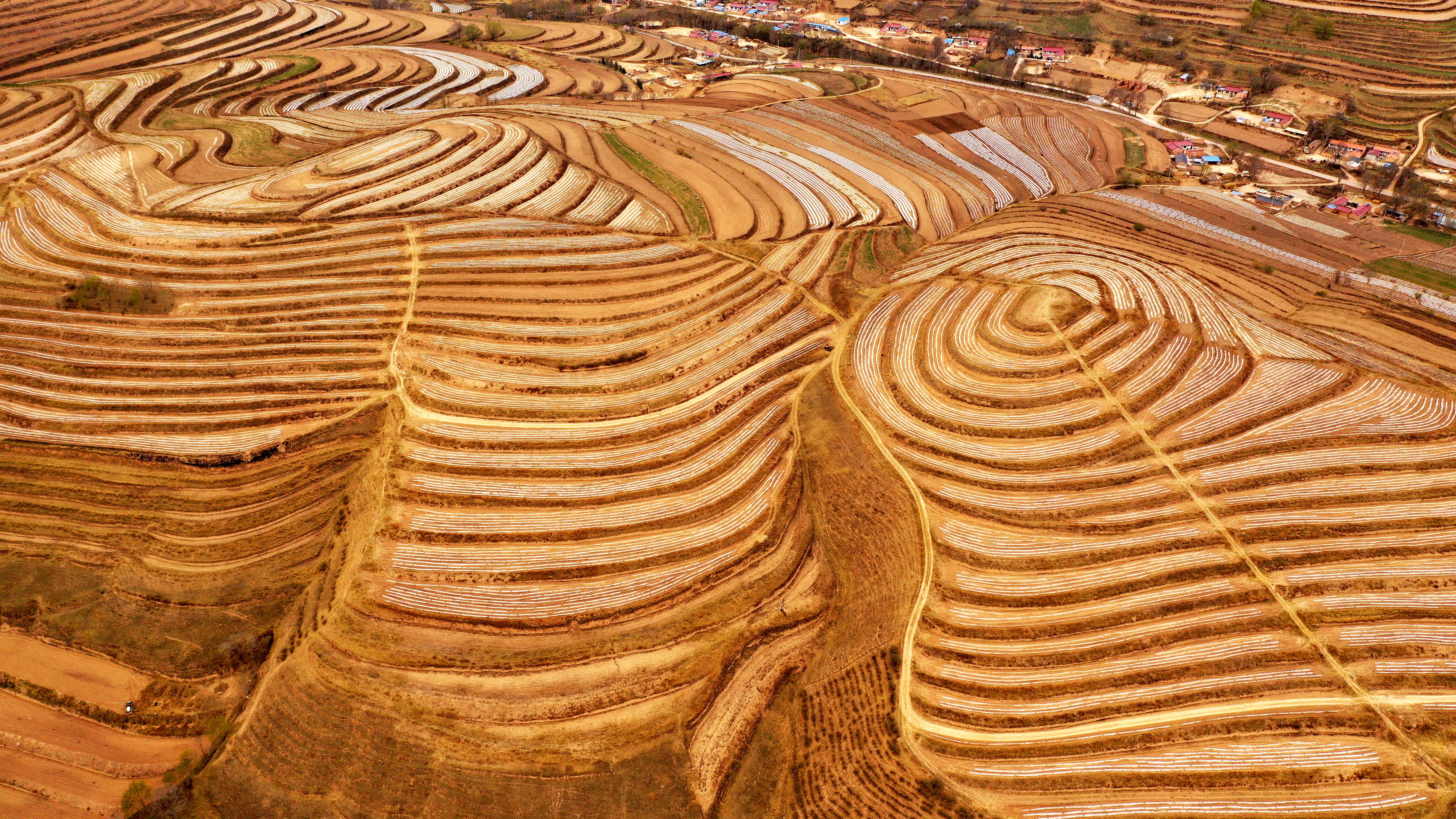 西吉梯田美如画-宁夏新闻网