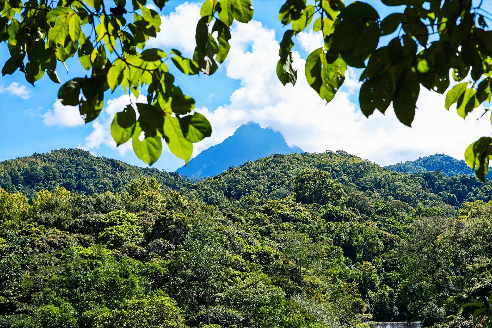 2021五指山热带雨林风景区-旅游攻略-门票-地址-问答-游记点评，五指山旅游旅游景点推荐-去哪儿攻略
