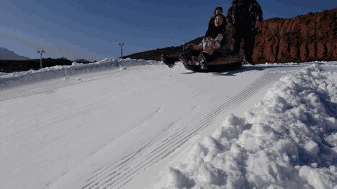 娅豪3.gif