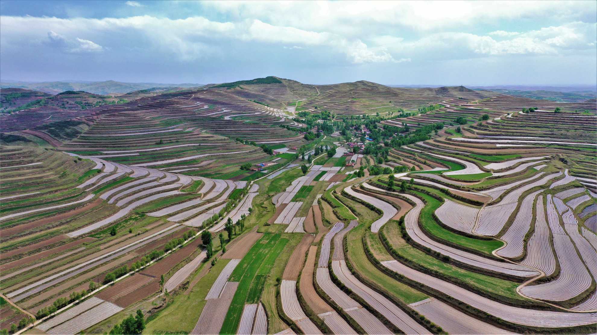 组图| 六盘山下好风光——山翠地平梯田美如画-宁夏新闻网