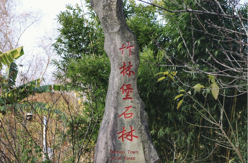 WX20211210-104312@2x.png