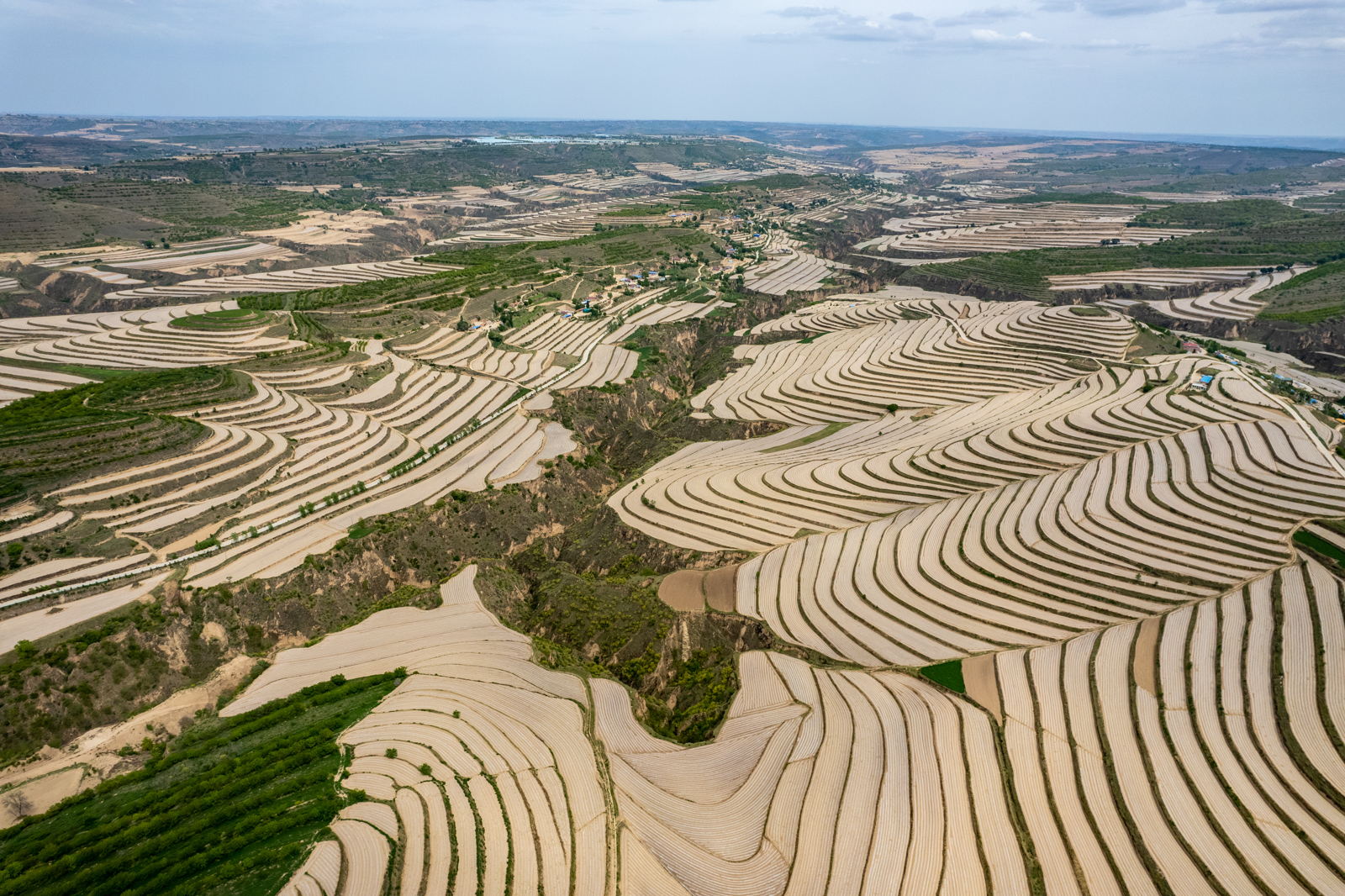 高清大图:【我的村 我的家】瞰彭阳县白阳镇中庄村-宁夏新闻网