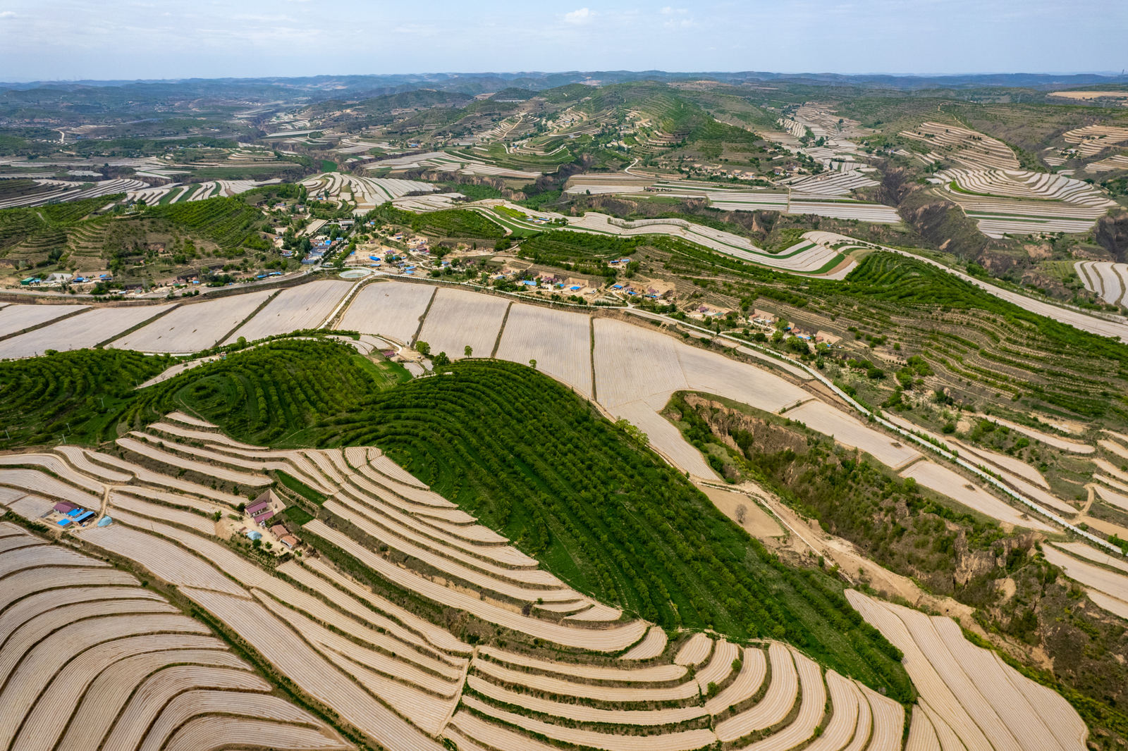 高清大图:【我的村 我的家】瞰彭阳县白阳镇中庄村-宁夏新闻网