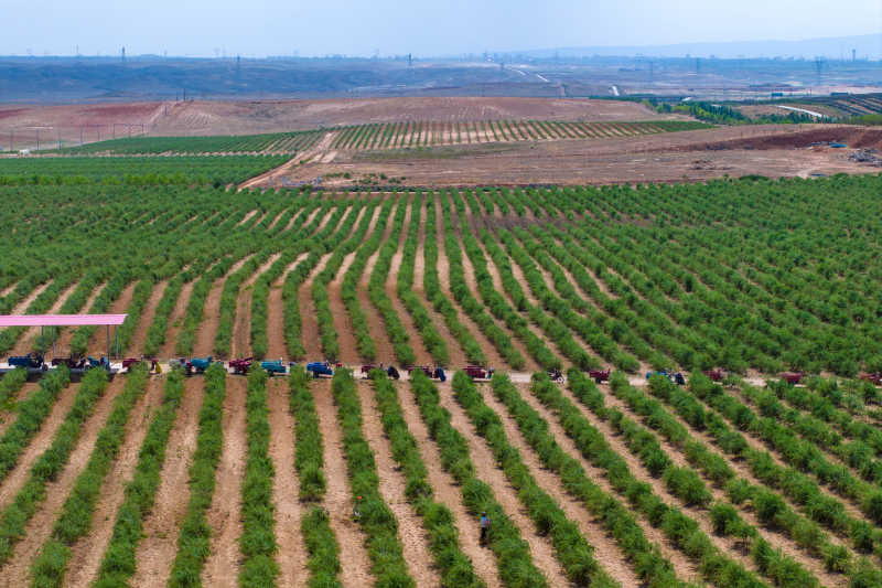 DJI_20230615100012_0017_D.jpg