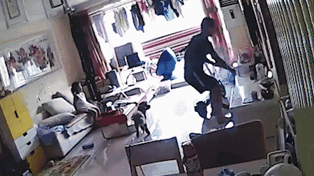 1.gif