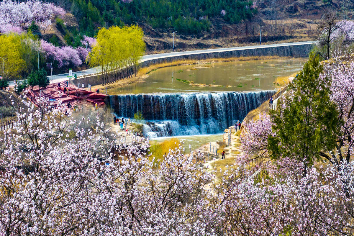 高清大图固原数万亩梯田花海惹人醉