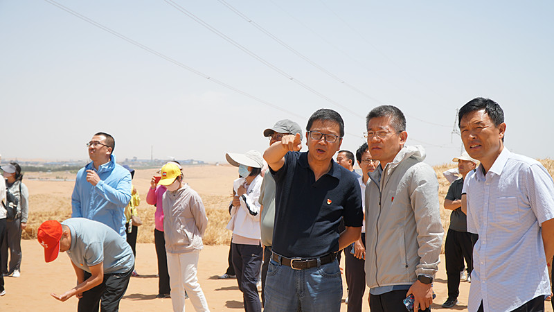 DSC06961_副本.jpg