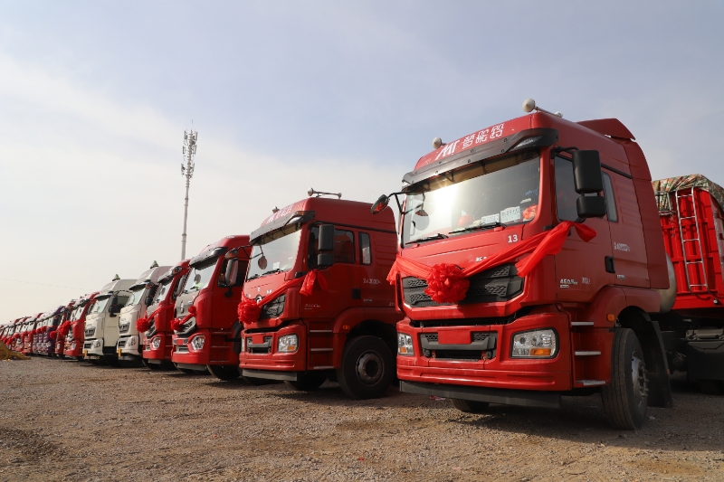 mmexport1719387189384.jpg mmexport1719387189384.jpg