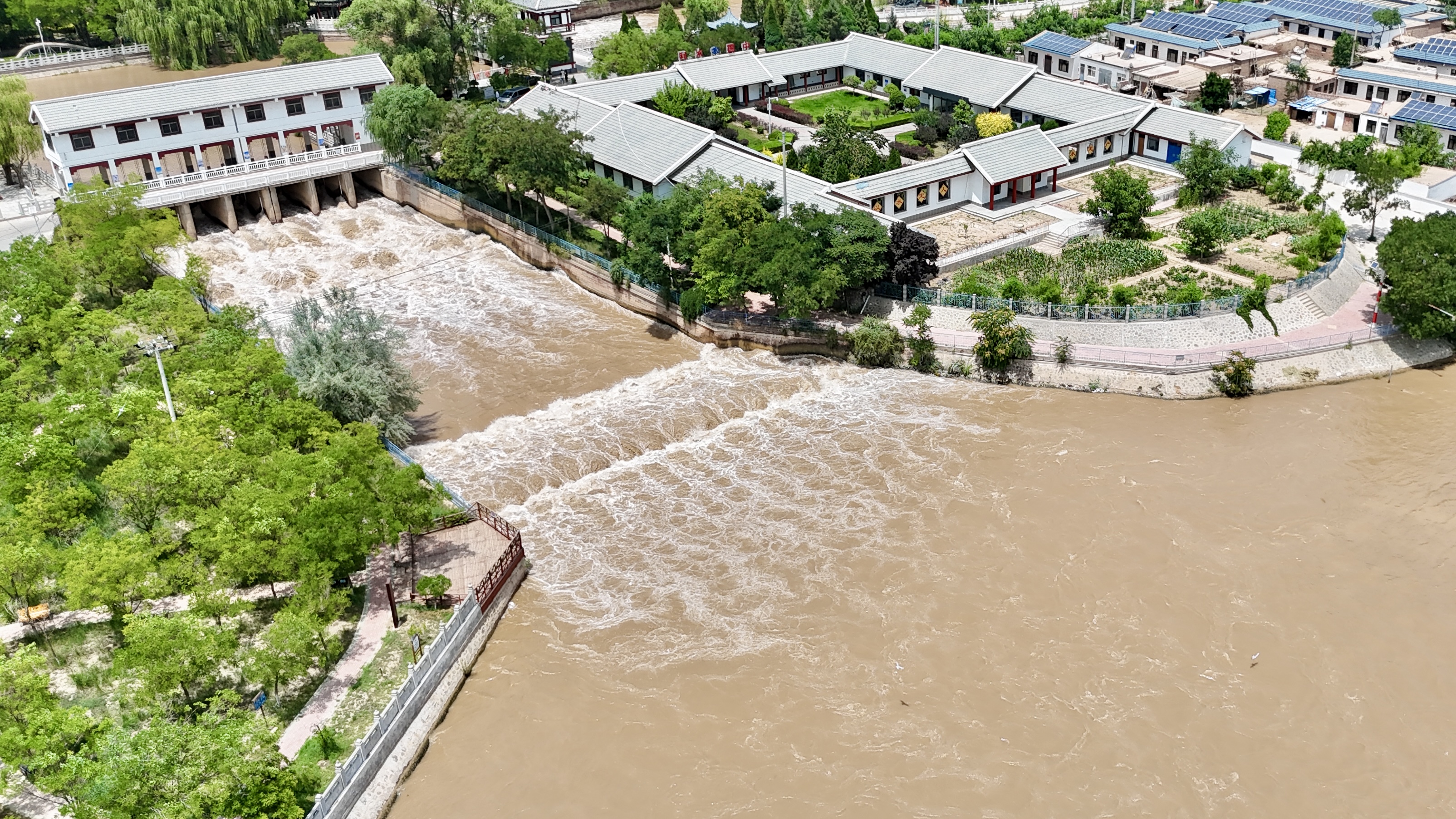 WechatIMG175 1.jpg WechatIMG175 1.jpg