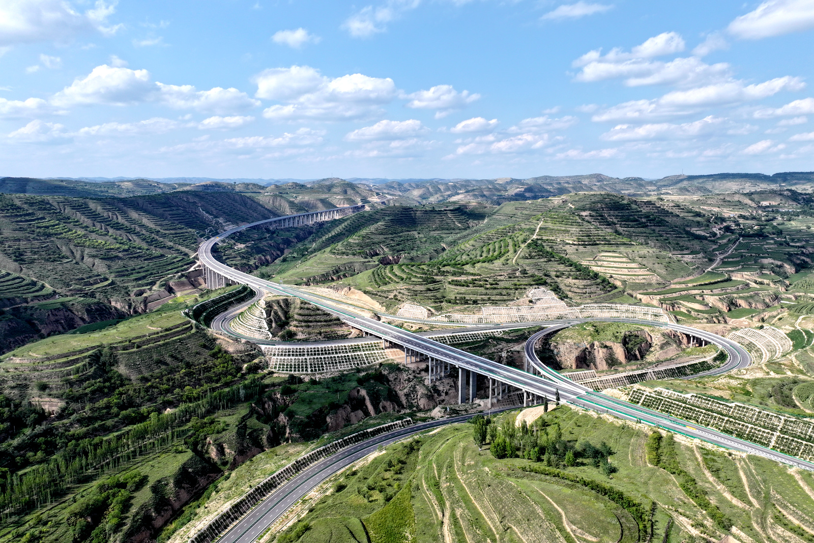 DJI_20240813162155_0182_D.JPG