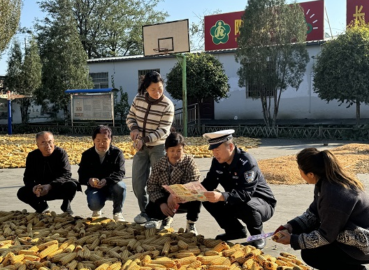 QQ浏览器截图20241023210932.png