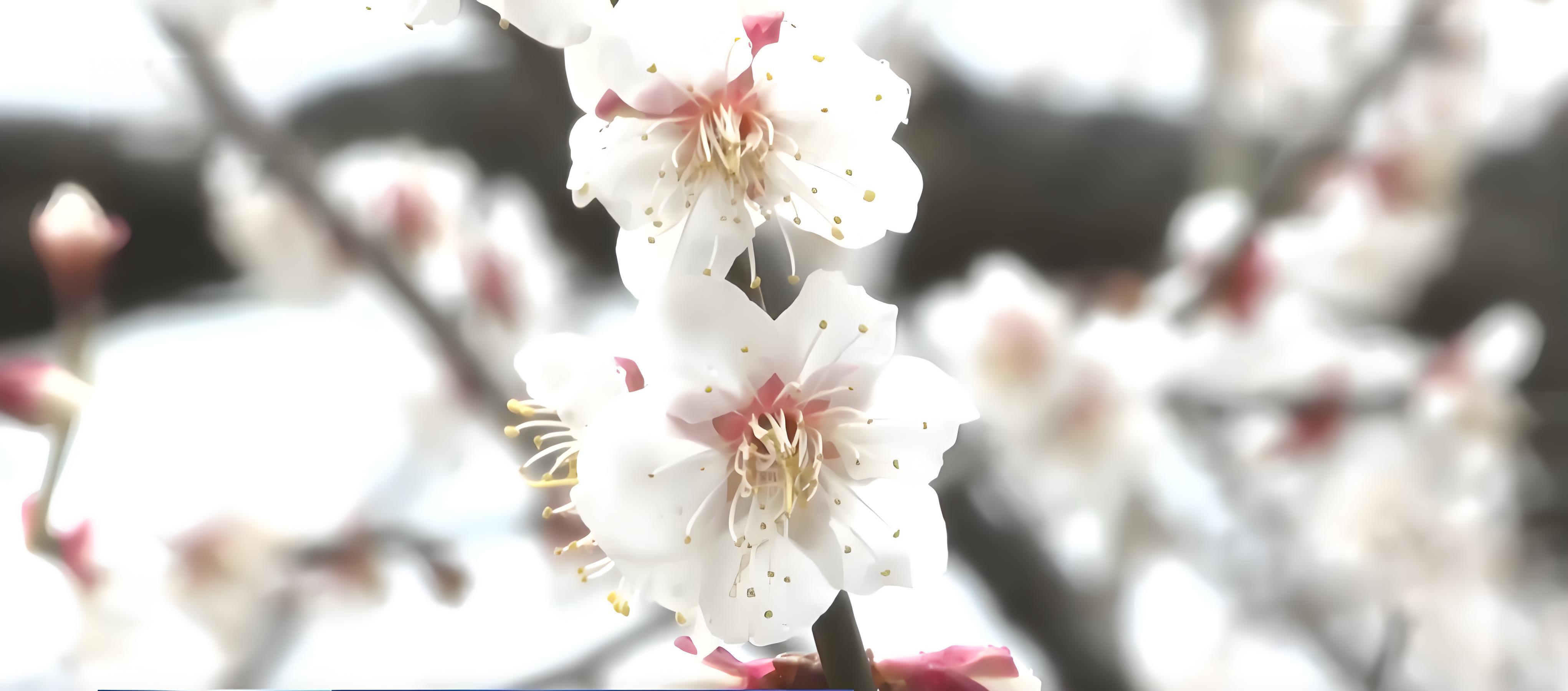 34d83daac2619162d2285f2bdf48c701.jpeg