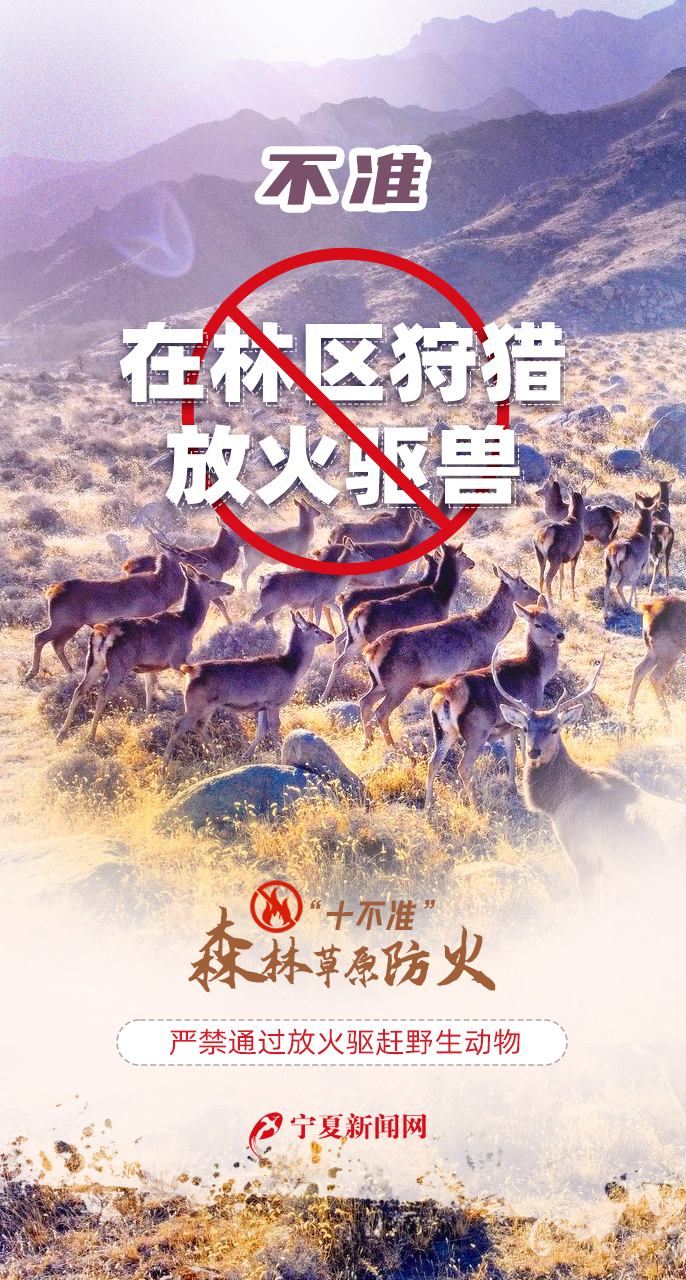 天天讲安全之森林草原防火“十不准”999.jpg