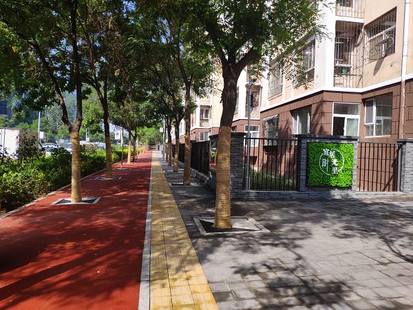 银新苑南社区打造宜居巷“宜居·时光里”品牌街巷.jpg
