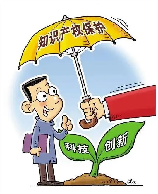 知识产权.jpg