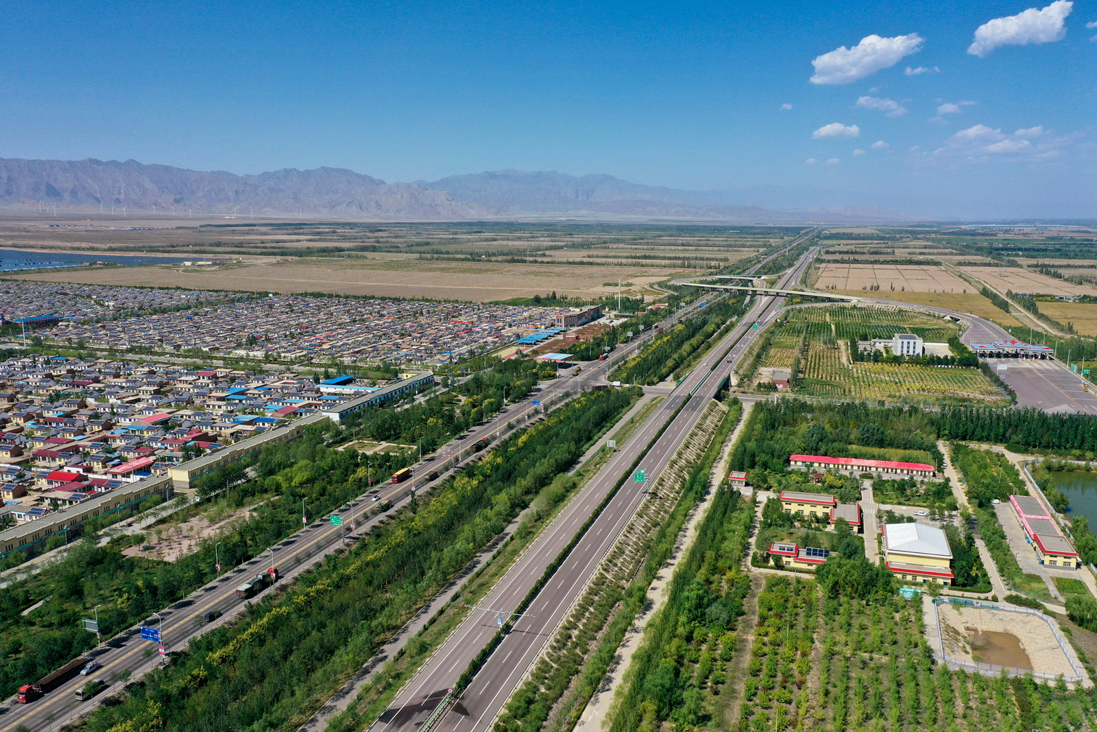 DJI_0220_副本_副本.jpg