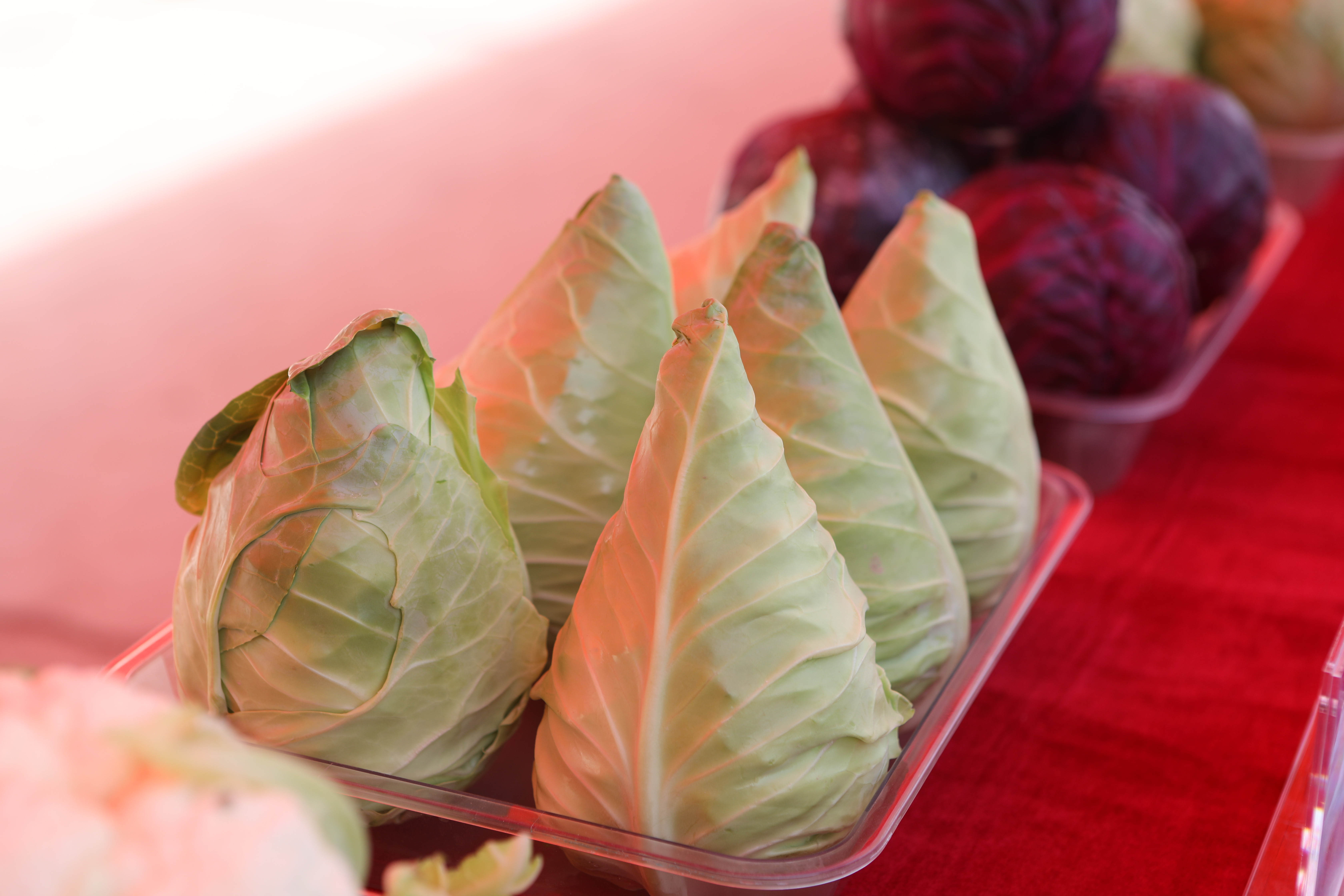 在苏州遇到怎样的固原？10月17日-19日见(图1)