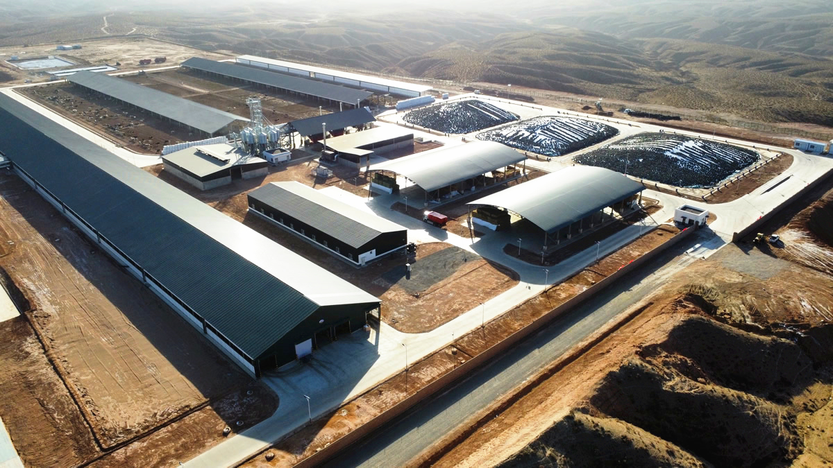 机器人推料、北斗送餐、恒温宿舍成标配！ 宁夏农垦孙家滩奶牛场正式投产